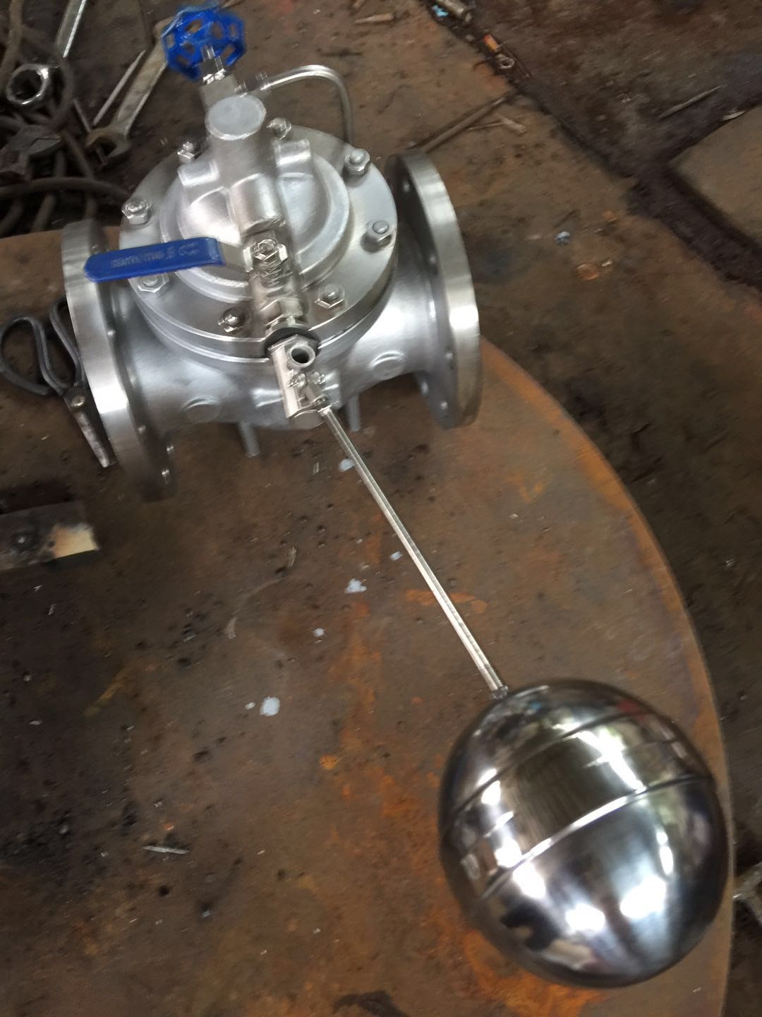 100X-P2.jpg 100X-P2.jpg